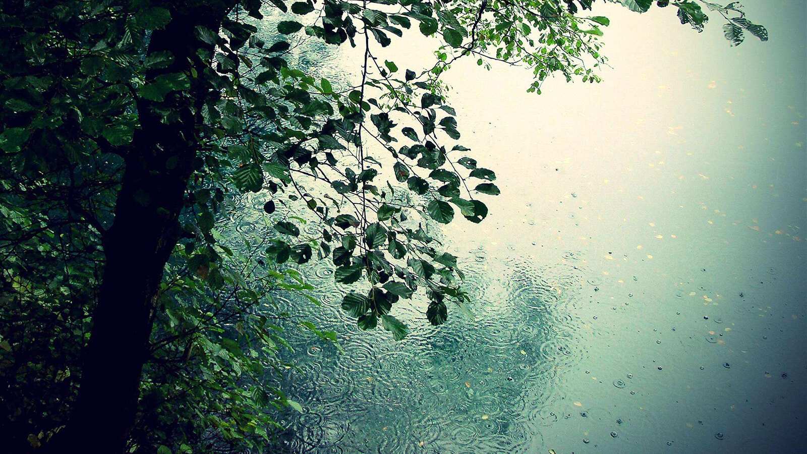 rainproof_04 rainproof_04
